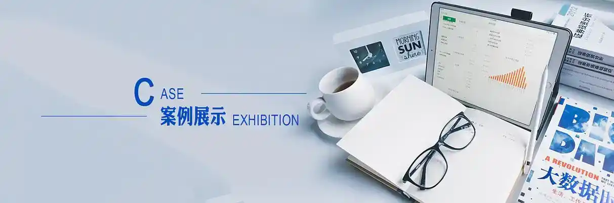 天等县软件开发